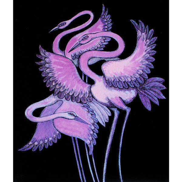 Purple Long Leg Birds