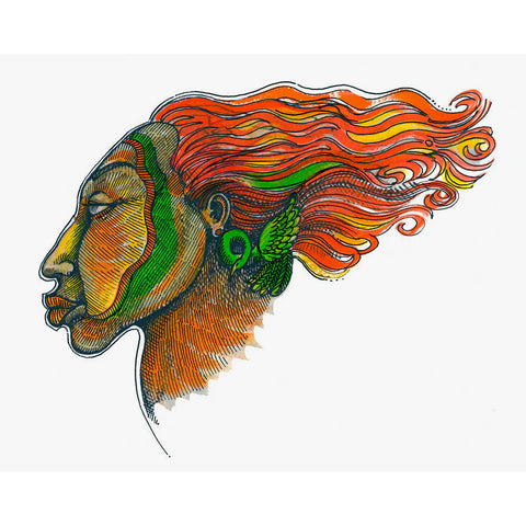 Windface Series 1