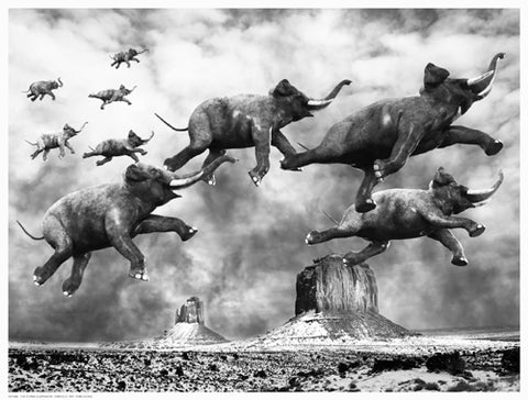 The Flying Elephants Anon