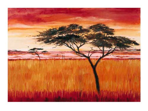 Serengeti Dawn Emilie Gerard